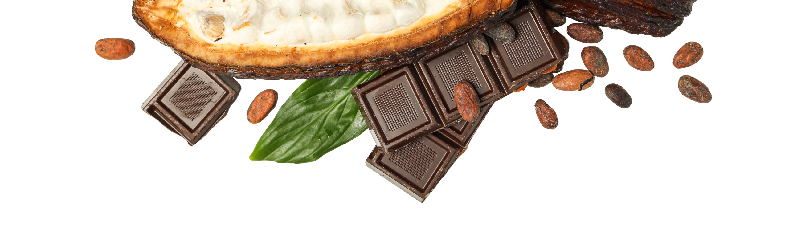 coca
