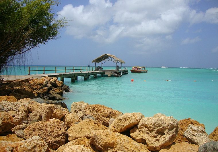 tobago-pigeon-point1.jpg
